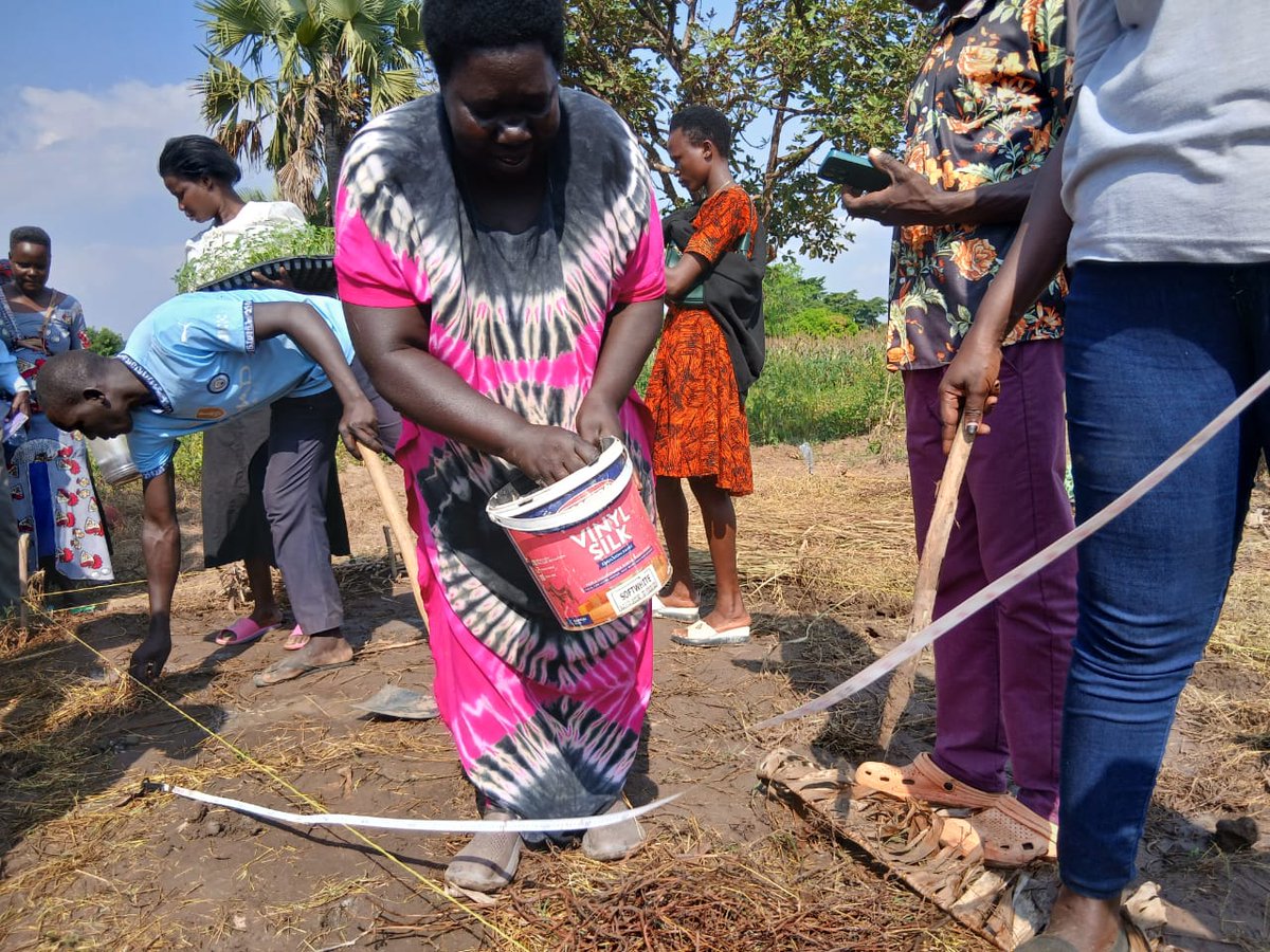 csjuganda's tweet photo. We are still at it, working to support smallholder farmers across Northern Uganda - including refugees and host communities - to build climate resilience through #Pfumvudza, a regenerative farming approach that boosts productivity while protecting the environment.

Last week, together with @Farms4God, we trained 100+ participants from agribusinesses, district local governments, extension services, and farming communities across Lango, Acholi, and West Nile.

The approach is built on four key principles: ✅ Minimum soil disturbance ✅ Permanent soil cover ✅ Crop rotation ✅ Precision farming
The training focused on year-round horticulture production, helping farmers improve food security and generate sustainable incomes.
By equipping private sector actors and government extension workers alongside farmers, we are embedding climate-smart agriculture into local systems for lasting impact.
🚀 Next: Scaling this training to 5,000+ farmers, with a special focus on women and refugees.
#ClimateAction #RegenerativeAgriculture #FoodSecurity #RefugeeInclusion #NorthernUganda #SustainableFarming