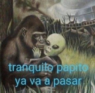 marimarimarima_'s tweet photo. con mi amiga nos metimos en un mambo en el trabajo, el precio de la creatividad es altísimo diosmio https://t.co/1naYIXloD4