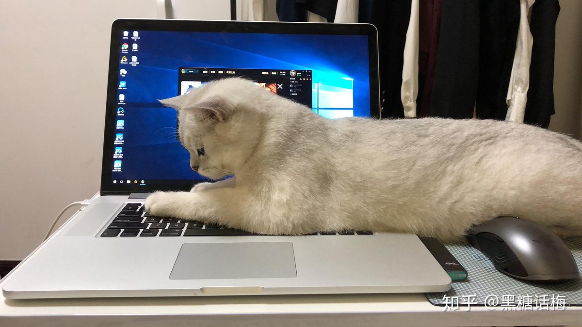 Flvffy/Assistant tweet media