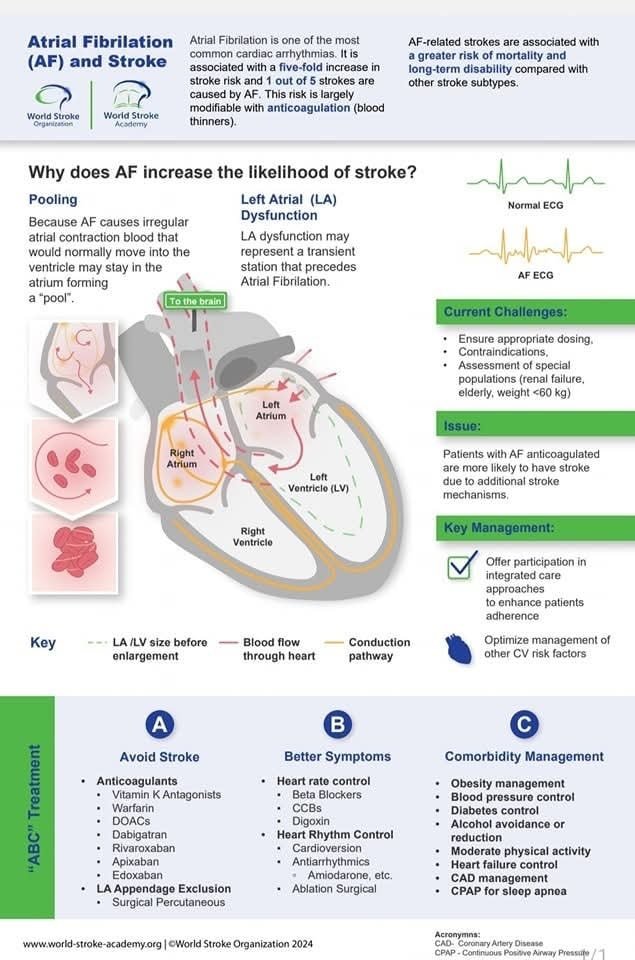 TrackYourHeart's tweet photo. Atrial fibrillation and stroke https://t.co/jceMoK6RBQ