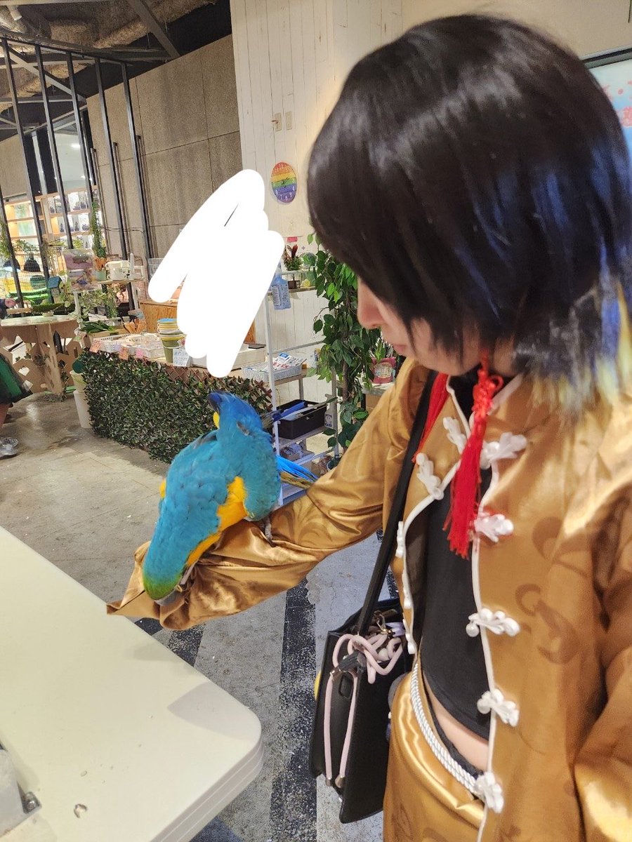 _0_cos_'s tweet photo. ブルーロック 蜂楽廻

@Rui123144さんの千切とお邪魔してきましたー！
鳥と戯れ✨服食べられてるけど笑
たくさんの方と交流出来て写真も撮れて幸せでした♡

 #アコスタ岸和田カンカン
 #アコスタ
 #コスプレイヤーさんと繋がりたい https://t.co/PNCC4lmLM0