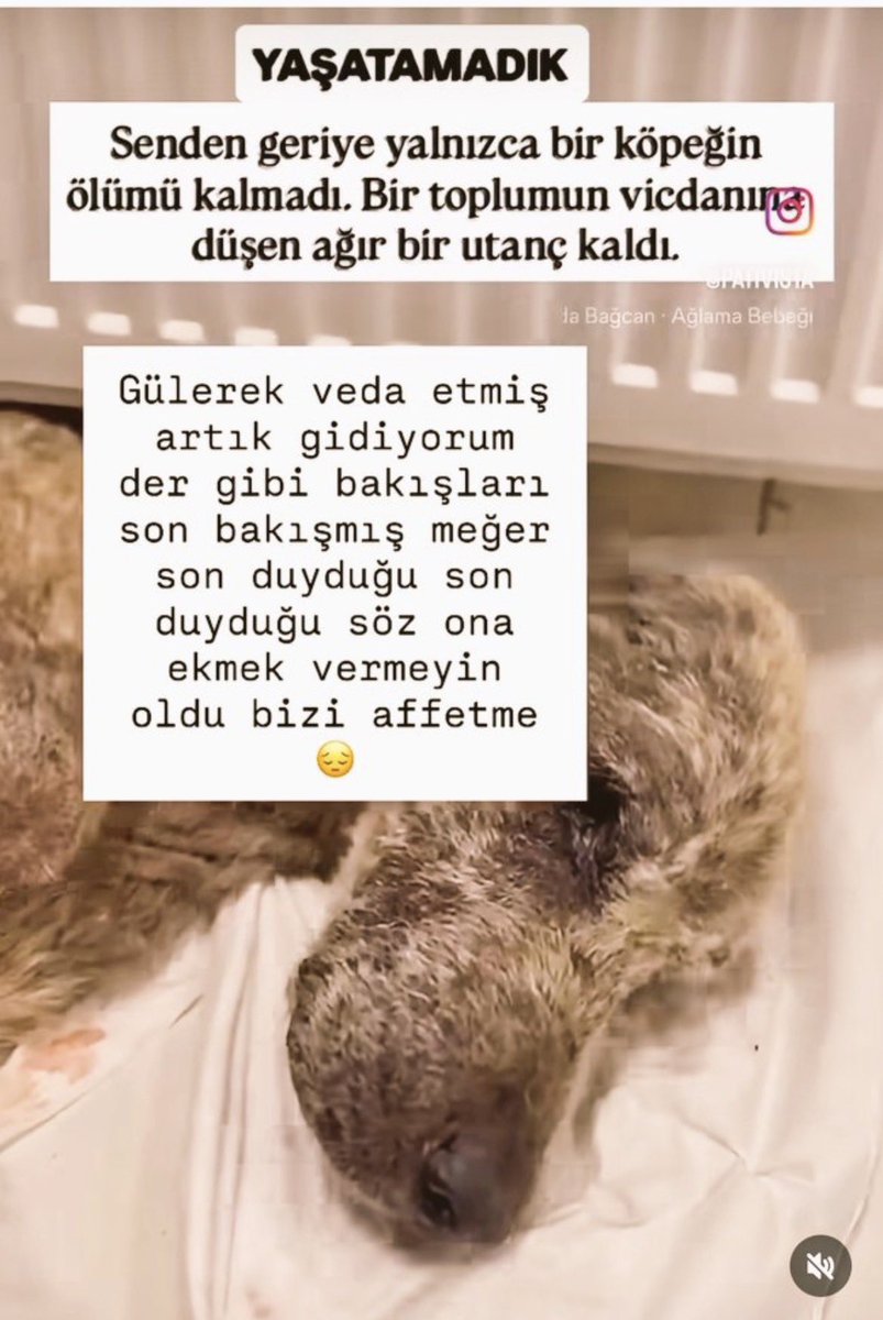GuvenliUlke's tweet photo. Ekmek vermeyin ölsün demişti köylü, öldü…

O köy iflah olmaz artık, olmasın.
Allah büyük!

#7527İptalEdilsin https://t.co/hYtdjAwQpt