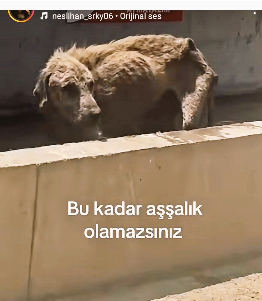 GuvenliUlke's tweet photo. Ekmek vermeyin ölsün demişti köylü, öldü…

O köy iflah olmaz artık, olmasın.
Allah büyük!

#7527İptalEdilsin https://t.co/hYtdjAwQpt