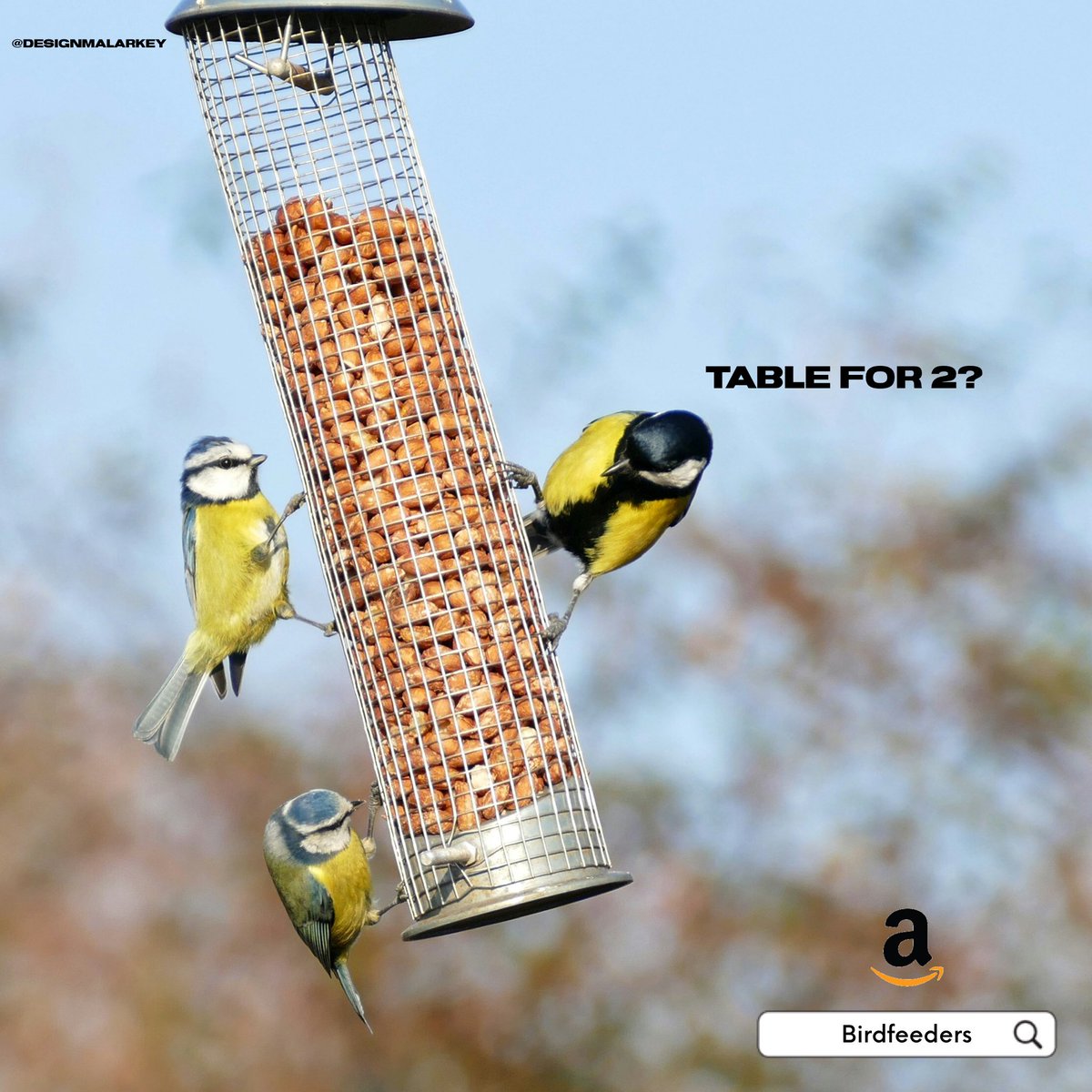 designmalarkey's tweet photo. One Minute Brief of the Day - 08/07/26
Create posters to advertise #BIRDFEEDERS 🐦‍⬛🐦 @OneMinuteBriefs https://t.co/1xm2htmbsz