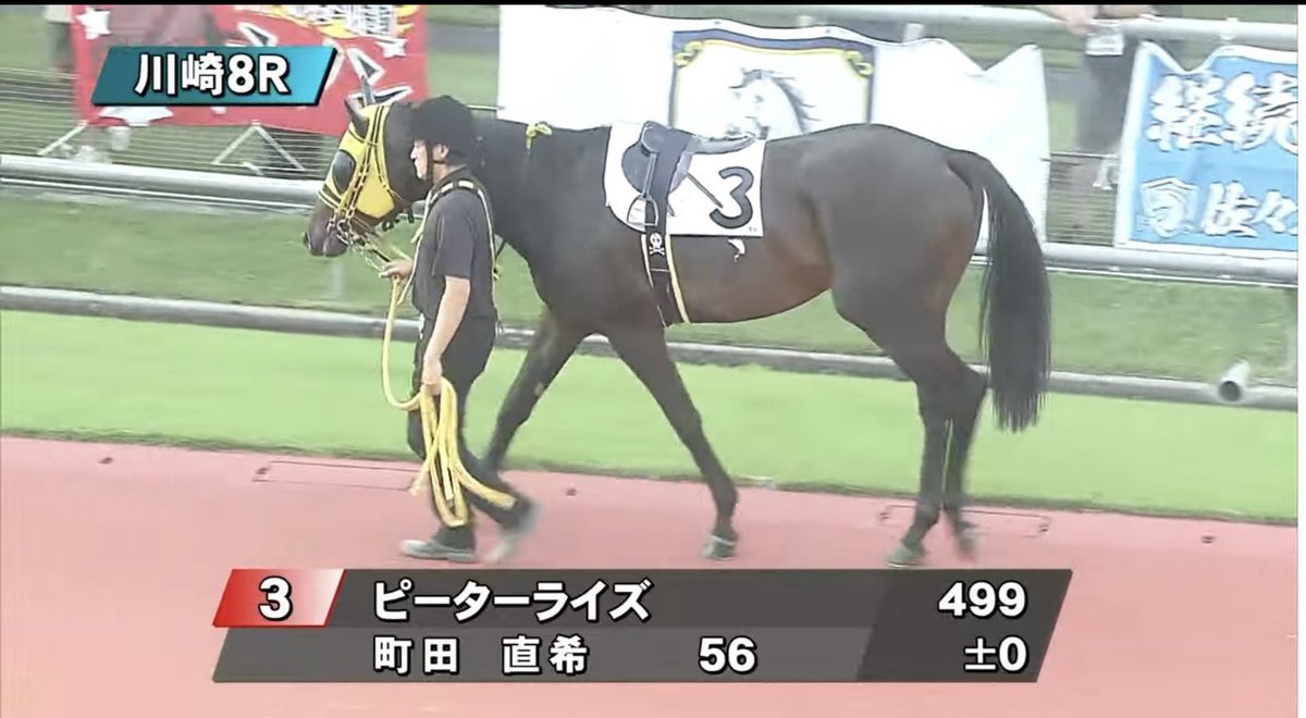 uma1sasa's tweet photo. スパーキングレディースカップの軸が決まらない。
8レース見たいに後方からでも差せるのか。
#ピーターライズ https://t.co/30ccNV2OKu