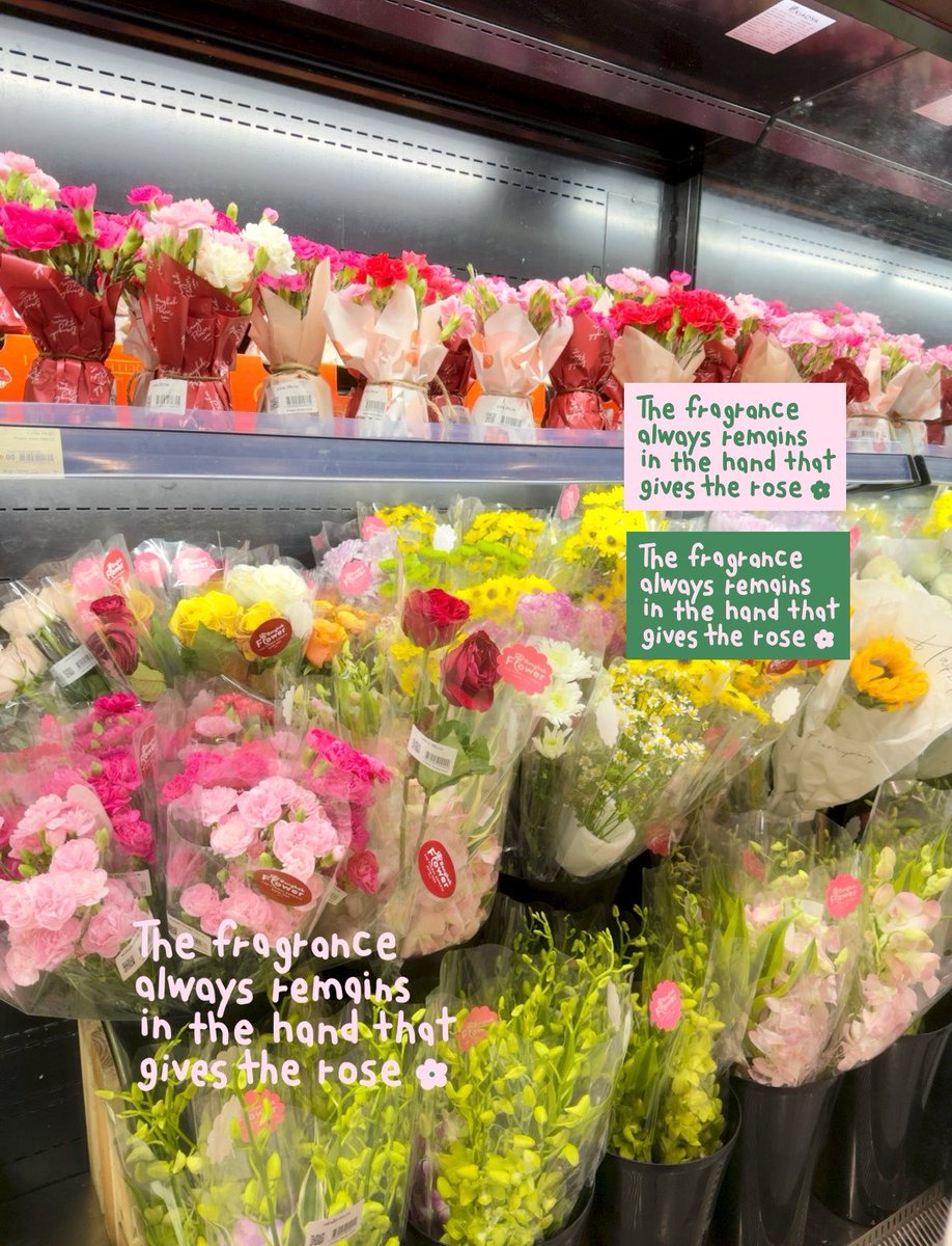 mamintzz's tweet photo. กลิ่นหอมย่อมติดอยู่ที่มือของผู้มอบดอกไม้เสมอ (づ๑•ᴗ•๑)づ💐 https://t.co/vqYbSyk8Hn
