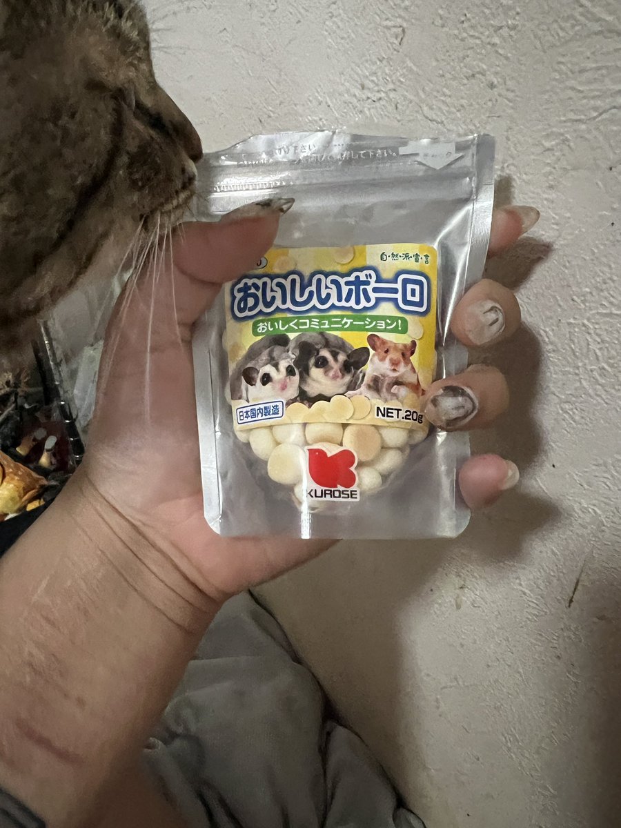 moeka_0711's tweet photo. メス達と色違いの小屋買った(⸝⸝◜𖥦◝⸝⸝)
あとボーロ！ https://t.co/dULzUiJwdR
