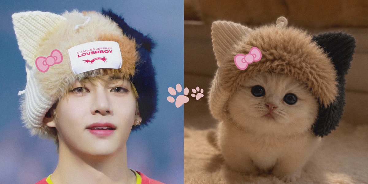 ANightofmagi's tweet photo. he's just a little kitten 🥺🤏🏻 https://t.co/mp7e9gzdIT
