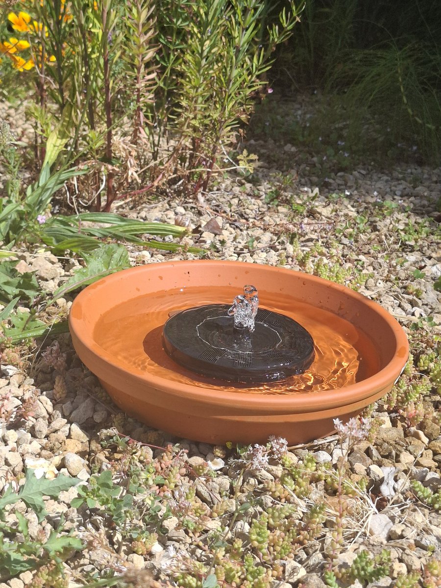 LittleAiArts's tweet photo. Yesterday I upgraded my wild bird bath. I think they'll get use to it pretty quickly https://t.co/Ibsp85SssC