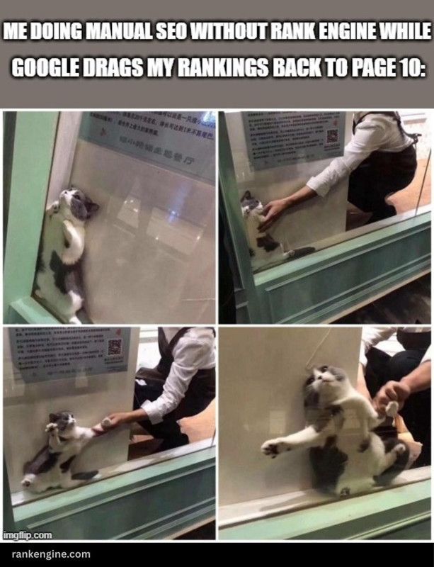 rankenginecom's tweet photo. Manual SEO without Rank Engine vs. Google dragging you down to page 10.
#SEO #BacklinkBuilding https://t.co/Y6hA1lFEp6