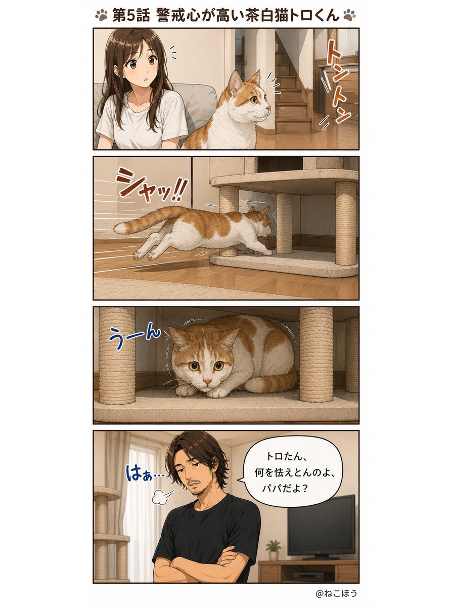 hamaromiko's tweet photo. ねこほう漫画⑤
警戒心が強いトロた🐱 https://t.co/pcj3xH0QuW