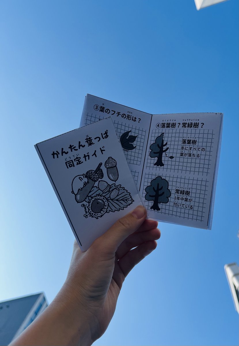marumo🌱 (@cocopoke_no19) / Posts / X