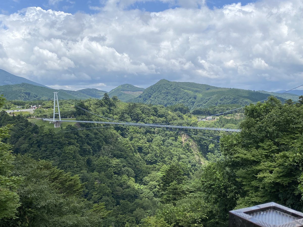 maman1227's tweet photo. 昨日から娘たちと大分旅行🚗💨💨
昨日は九重夢大吊橋、別府地獄めぐり
今日は朝起きて温泉に入って♨️
午後からアフリカンサファリ🐘🐆🦓🦒
を楽しんでさっきホテルに戻りました
孫もめっちゃ楽しそう😆
明日の最終日も楽しみますよ〜🐬🐟🐠 https://t.co/LOwLuFI0AC