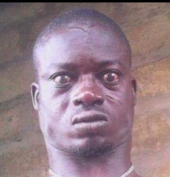 Olatunji tweet media
