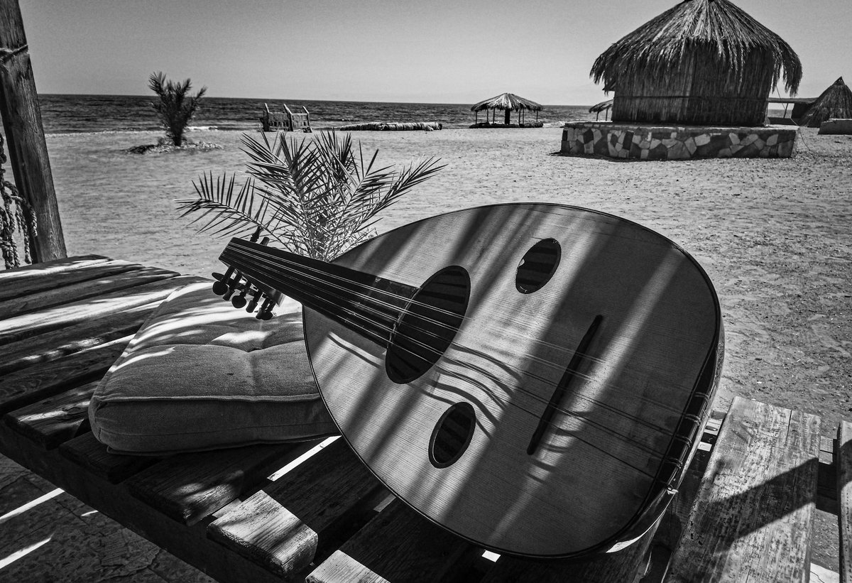 KaliSafwat's tweet photo. The Instrument (And Literally Everything Else)
Maagana, Nuweiba, 2018

The eternal photographer’s dilemma: perfect the composition or catch the light before it dies? I chose the light. I had one brief moment to capture these gorgeous, harsh shadows before the sun moved on. Because this was shot on a DSLR with a kit lens, absolutely everything in the background is sharply in focus (hello, random palm frond merging with the neck of the oud). It’s a wonderfully messy, raw moment—and exactly the kind of shot that makes me physically yearn for the creamy background blur of a f/1.8 prime lens. Soon.
📷❤️
#ChasingLight #MonochromePhotography #ShadowPlay #GearTalk #WabiSabi