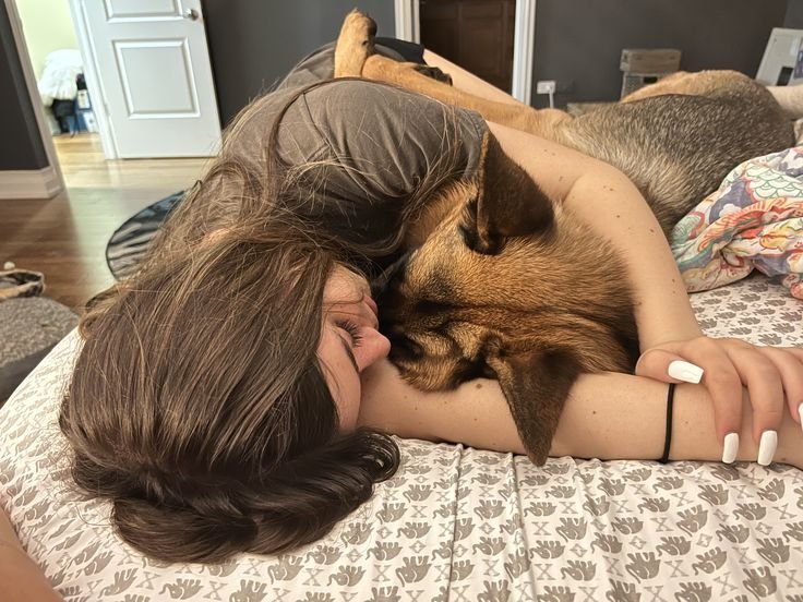 Sabrinapaw3tyw's tweet photo. My dog makes every night end with tail wags and cuddles. Best bond ever! ❤️🐶 Come join us now 👉👉https://t.co/6MUXeqNdDc
#Dogbitch #USA2026 #AUSUMMIT2026 #Australia https://t.co/7pk84AZZrm