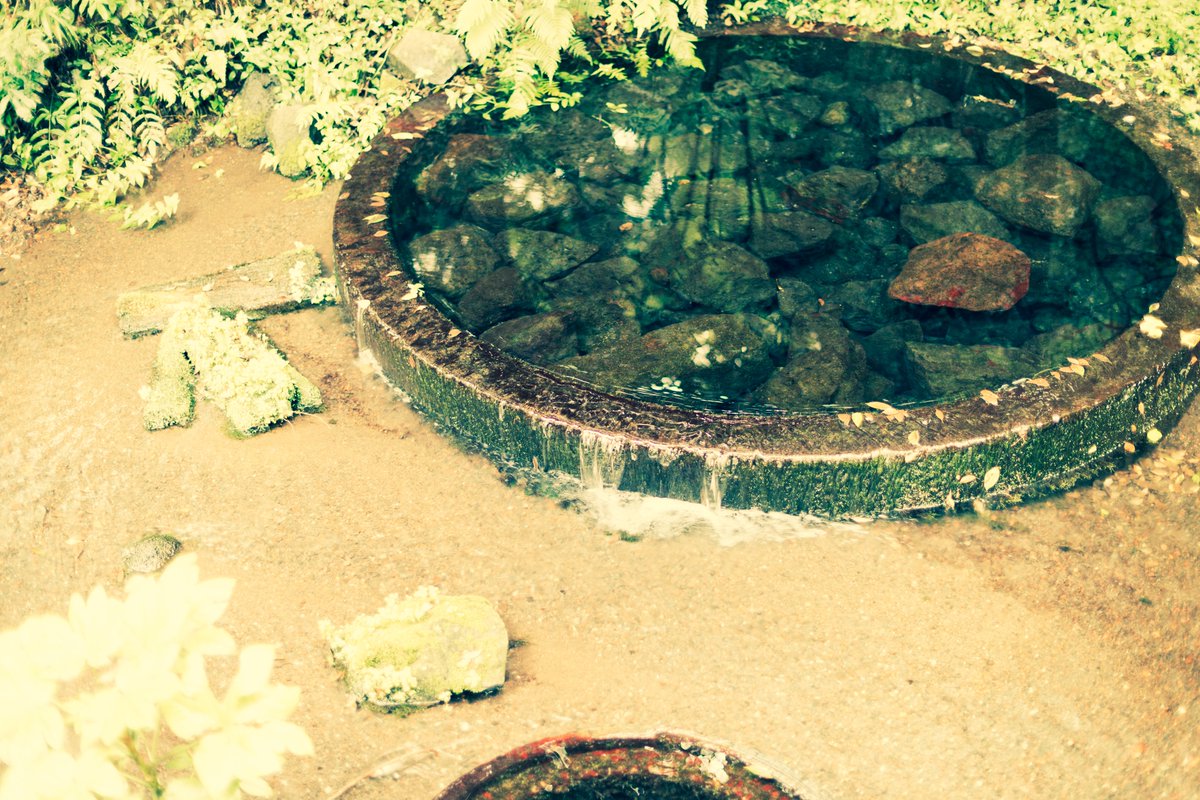 121Revolution's tweet photo. 水と縁 https://t.co/u7Ze3JHCbB