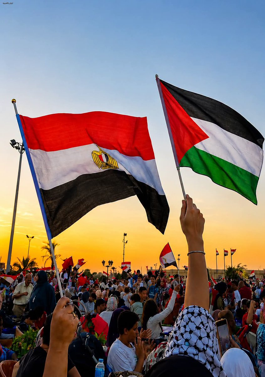mshendy9's tweet photo. حراقين عليهم 🇵🇸✌🏻🇪🇬 https://t.co/UpHj0PnSMf