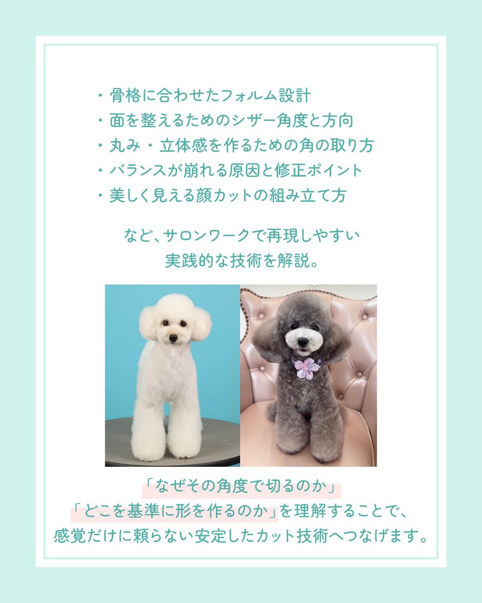 ASOBOLABO's tweet photo. アソボランド2026
お取引先様限定⭐️グルーミングセミナー
ご予約受付中！
美しさを引き出す、面と角を意識した顔カット術
〜骨格から考えるシンメトリーなフォルム作り〜 

SEMINAR FEE　90分 / 6,600円（税込）

https://t.co/r0dDUpe5Vo https://t.co/M2Zd8jhg4A
