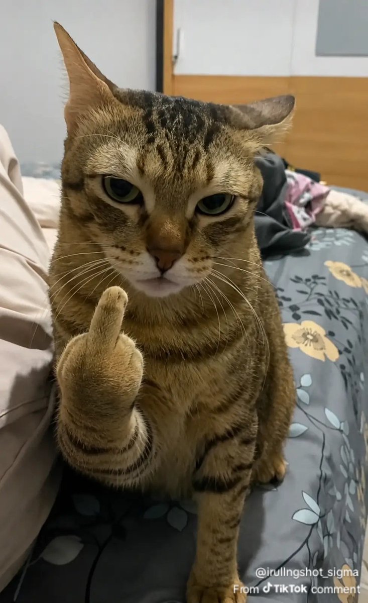 watchodooing's tweet photo. FAK LAH BUAT LO https://t.co/RXAWumX3h6