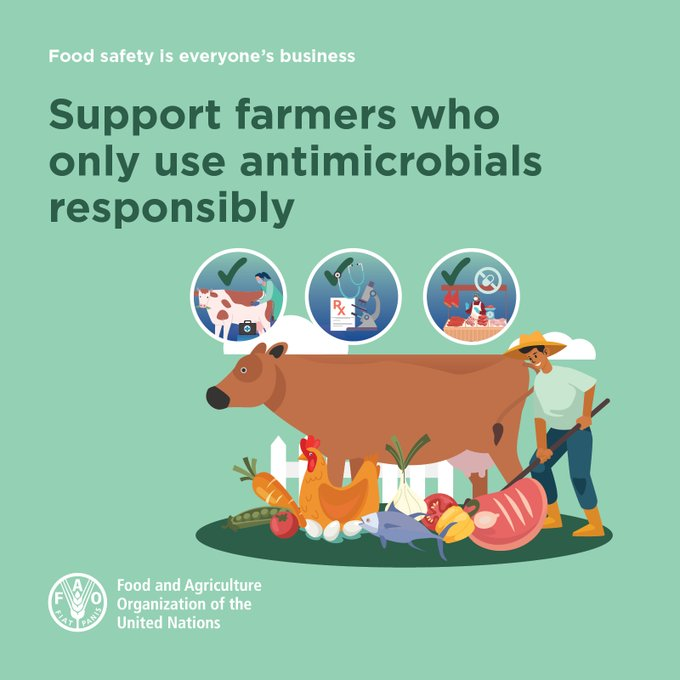 FAOWHOCodex's tweet photo. 🤔 | Is #AMR a food safety issue❓

✅ Yes ✅

👉 Many of the 🦠 that contaminate our food are now resistant to antimicrobials. Using antimicrobials wisely along the food chain can reduce the risk of antimicrobial resistant bacteria in food.

#FoodSafety https://t.co/TTRMjlUQtJ