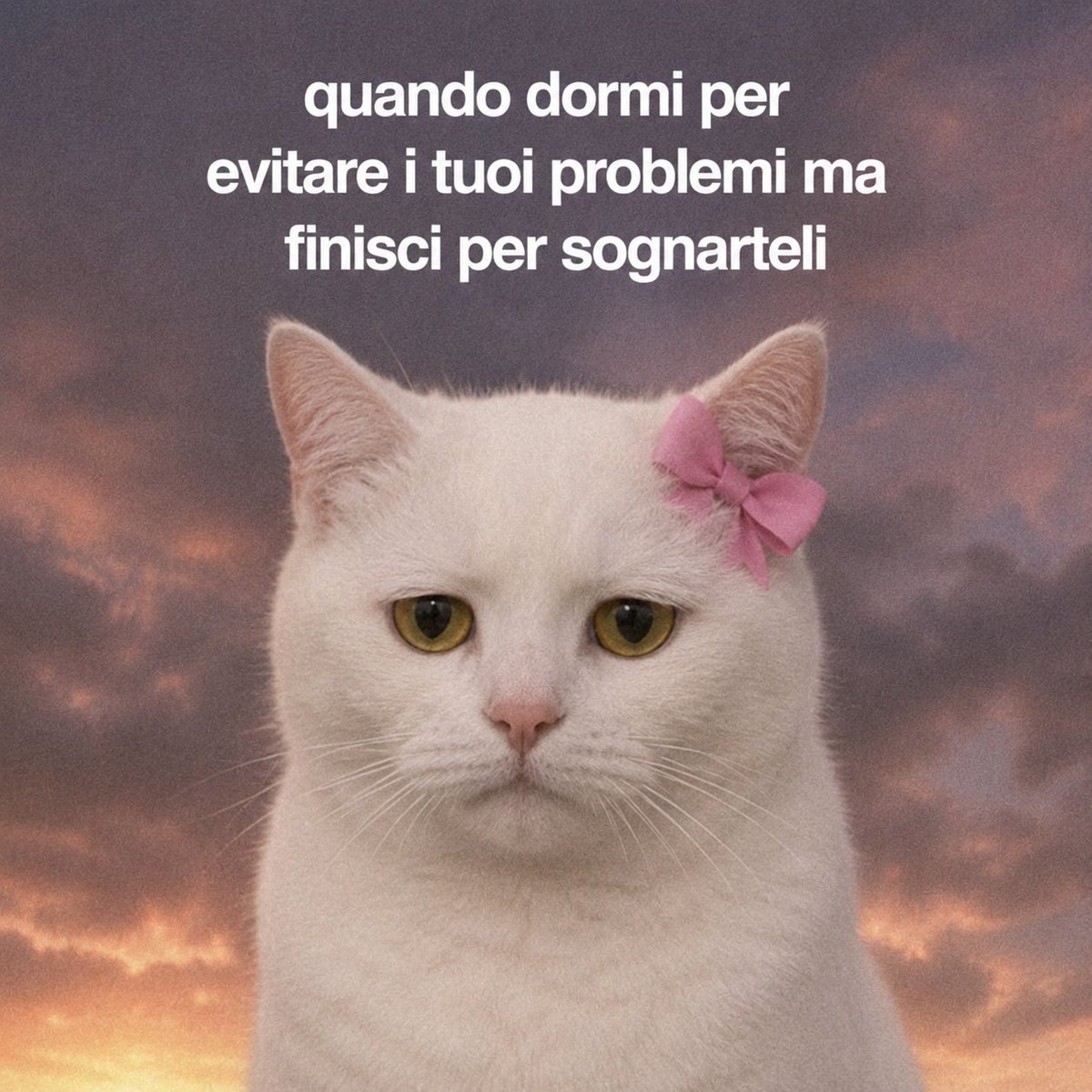 Sfigatto's tweet photo. 🤣 🤣 🤣 🤣 🤣 https://t.co/wY7nU5IUCK