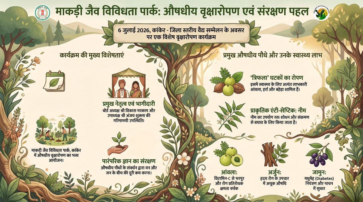smpbcg's tweet photo. कांकेर के माकडी जैव विविधता पार्क में औषधीय वृक्षारोपण एवं संरक्षण पहल.....

#Herbal #1lakhincome #1acre #doubleincome #WomenEmpowerment #MedicinalPlants #AromaticPlants #AromaticPlantsCultivation #MedicinalPlantsCultivation #Agriculture #Chhattisgarh #Forest #ChhattisgarhFores https://t.co/QgSFva4AEj
