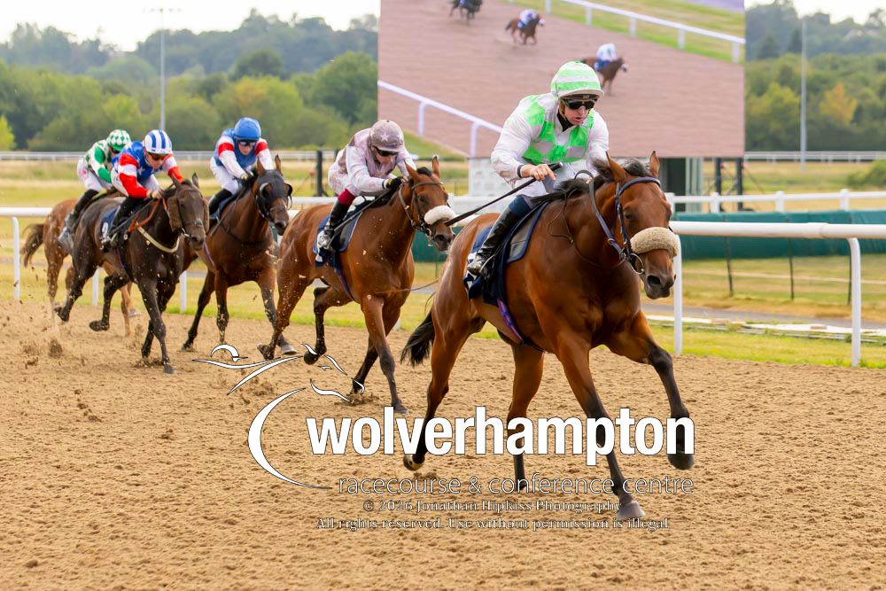 Wolverhampton Races tweet media