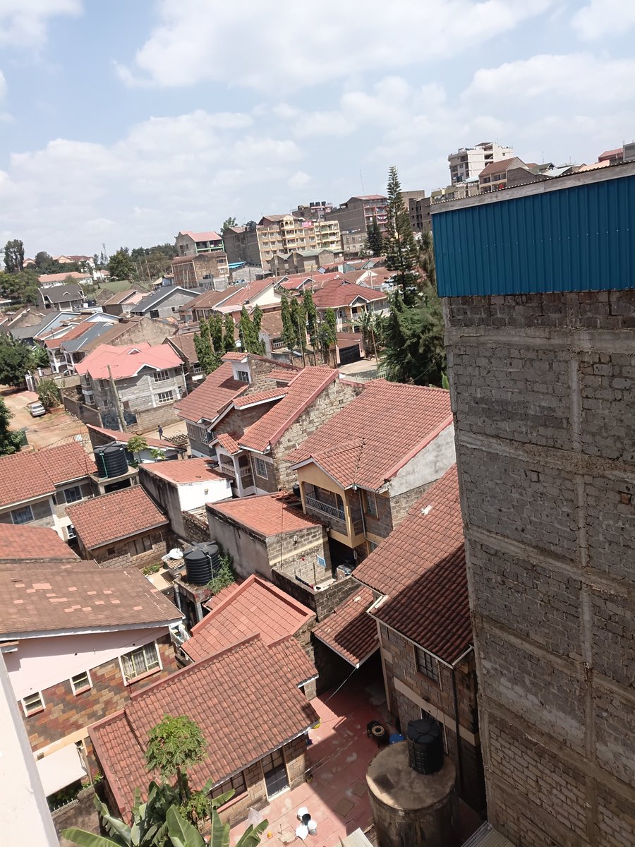 Mary Njoroge tweet media