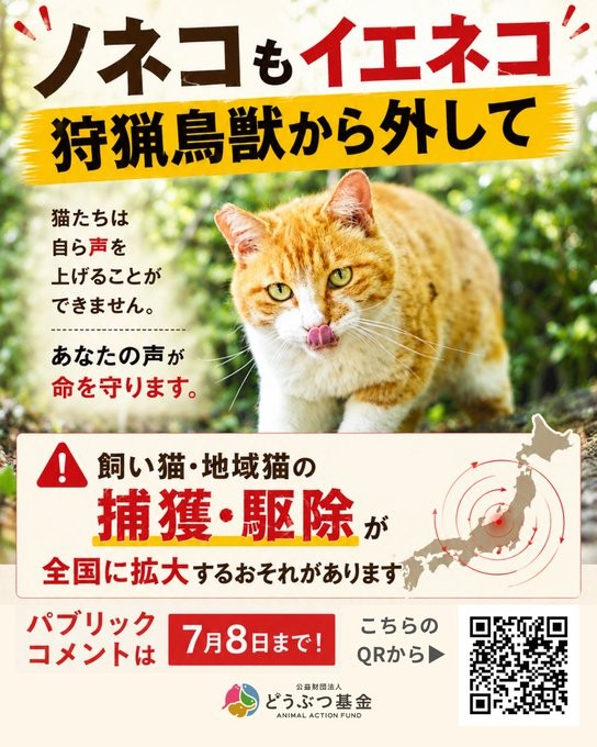 kitten_hiroshi's tweet photo. この法案へのパブリックコメントはなんと！
https://t.co/9mLRlrb2Qy 
⬆️今日24時までです💦
もしお時間があれば皆さんも🙋‍♂️
⬇️の署名もお願いします🙇‍♂️ https://t.co/yipQ1LBDST