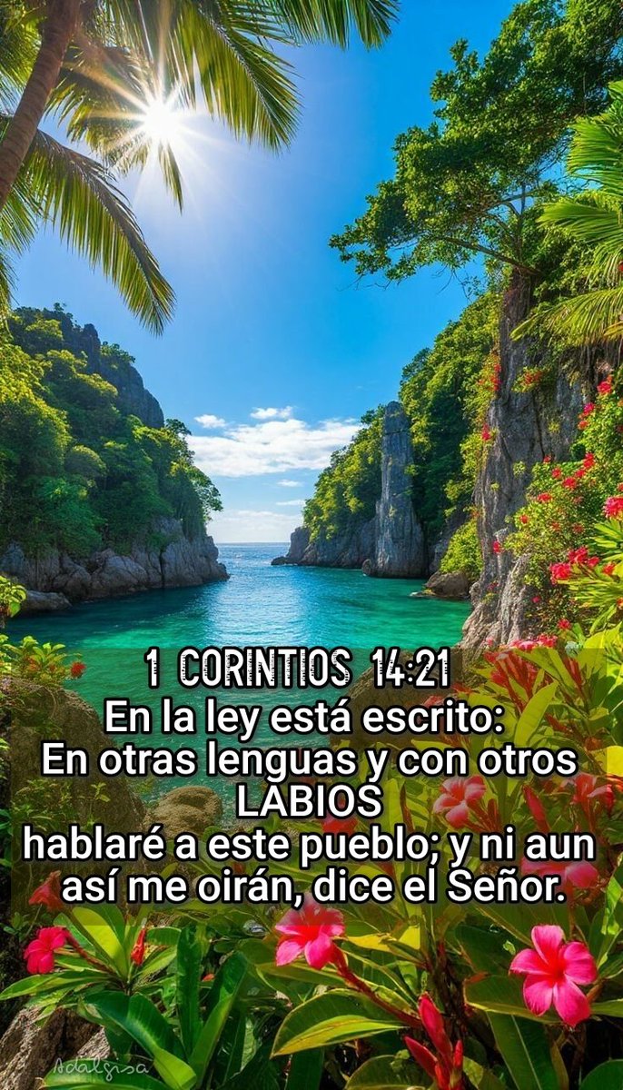 millopena's tweet photo. 💋 Miércoles,
Julio 8, 2026 
Dꭵꭴꞩ tꬲ ꞵBꬲꝴdꭵga
Salmos 36:1 
"La iniquidad del impío me dice al corazón: No hay temor de Dios delante de sus OJOS."👀 https://t.co/lfiMzLlakV
