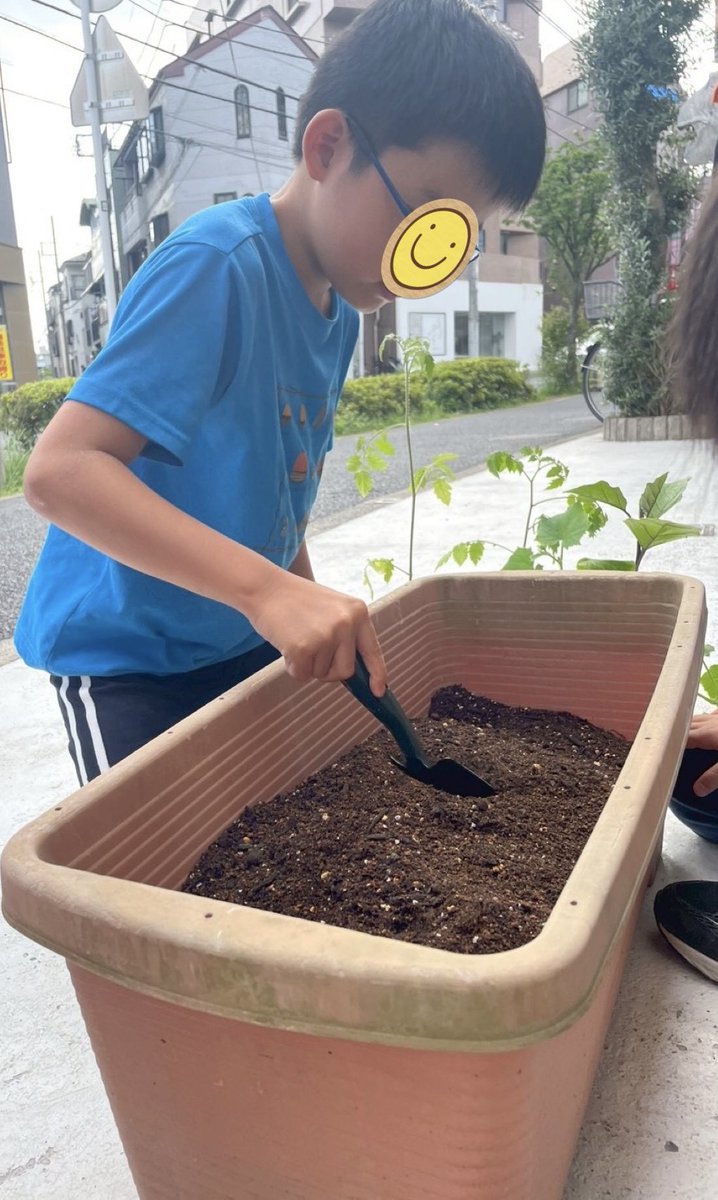 firstdream_11's tweet photo. ☀️南篠崎教室☀️
2026.7.8(水)
『夏野菜🍅始めました‼️』
南篠崎教室で、夏野菜の「トマト、きゅうり、ナス」を育て始めました🌻
お友達と「元気に育ちますように👏」と心を込めて植えました✨

▽ファーストシーンドリームの詳細はこちら！
https://t.co/CPMWTHWgru

#放デイ #家庭菜園 #夏野菜 https://t.co/MvgeGXCq2H