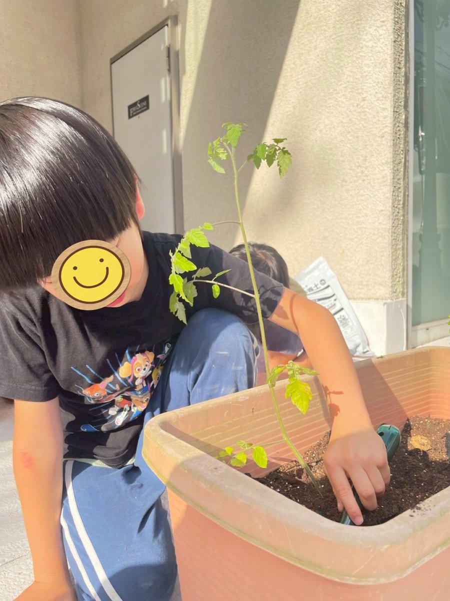 firstdream_11's tweet photo. ☀️南篠崎教室☀️
2026.7.8(水)
『夏野菜🍅始めました‼️』
南篠崎教室で、夏野菜の「トマト、きゅうり、ナス」を育て始めました🌻
お友達と「元気に育ちますように👏」と心を込めて植えました✨

▽ファーストシーンドリームの詳細はこちら！
https://t.co/CPMWTHWgru

#放デイ #家庭菜園 #夏野菜 https://t.co/MvgeGXCq2H