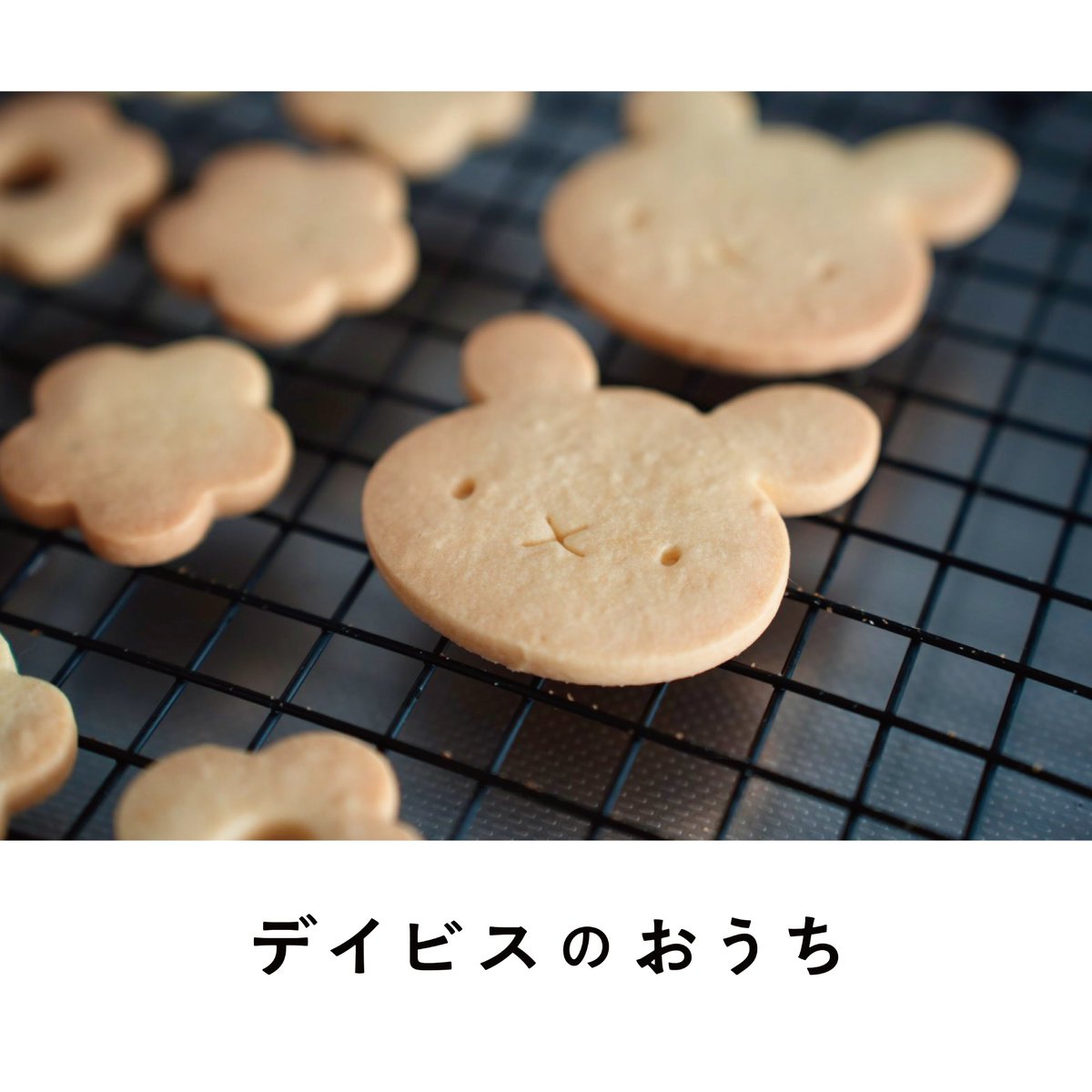 BASE(ベイス)公式⛺️ tweet media