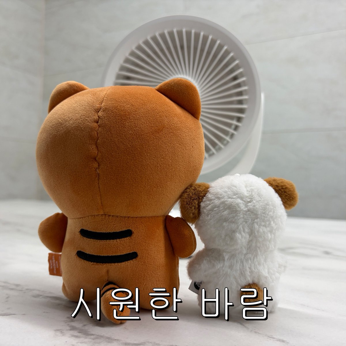 RaonKyu's tweet photo. 260708 kyumae24 IG

진짜 여름이다!

#조규매 #CHOKYUMAE https://t.co/09DmMsvmkp