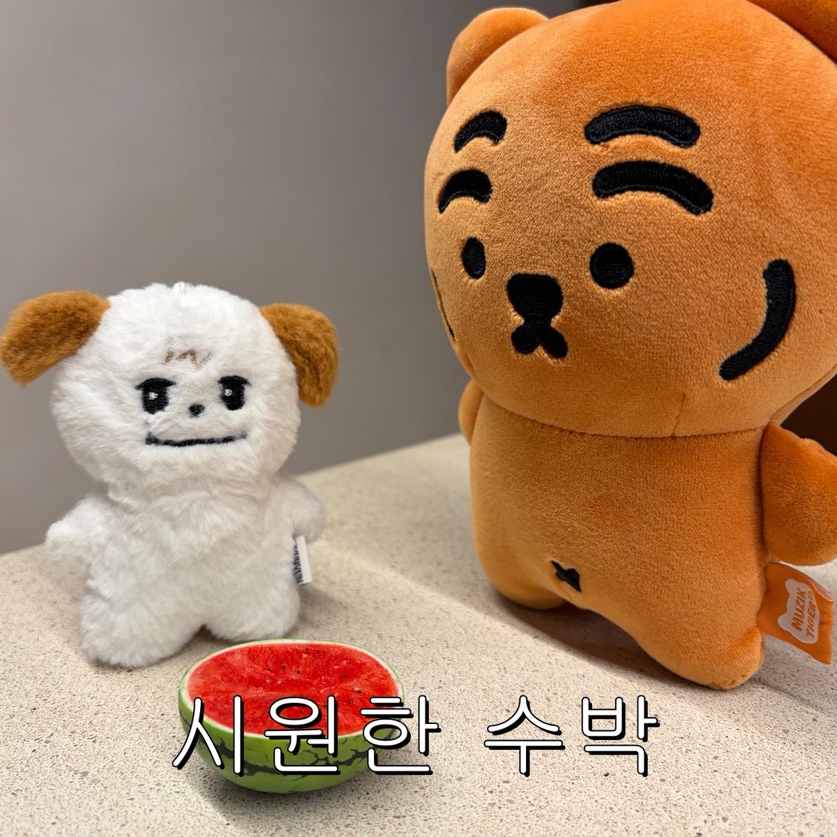 RaonKyu's tweet photo. 260708 kyumae24 IG

진짜 여름이다!

#조규매 #CHOKYUMAE https://t.co/09DmMsvmkp