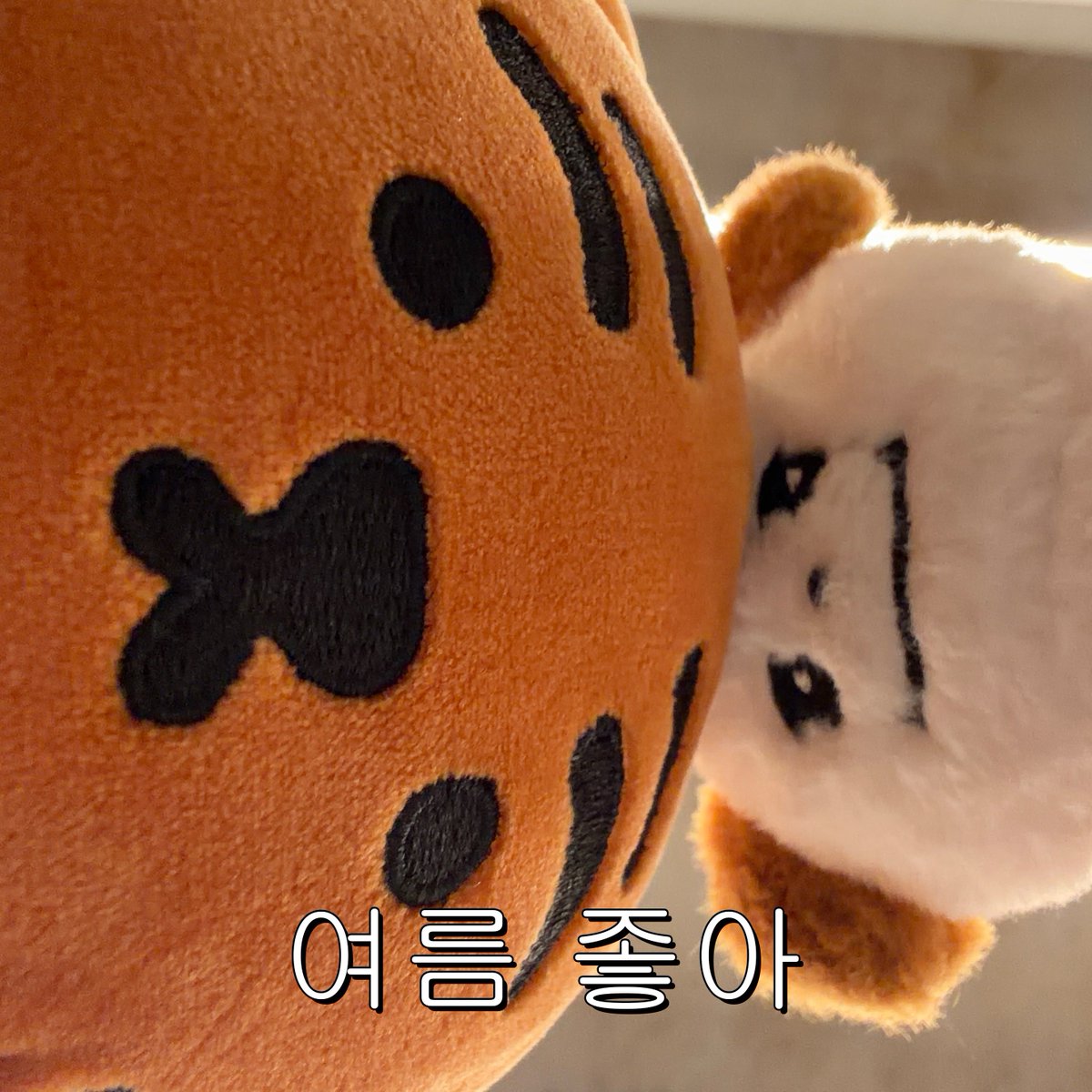 RaonKyu's tweet photo. #조규매 #CHOKYUMAE https://t.co/eZAbjukC0f