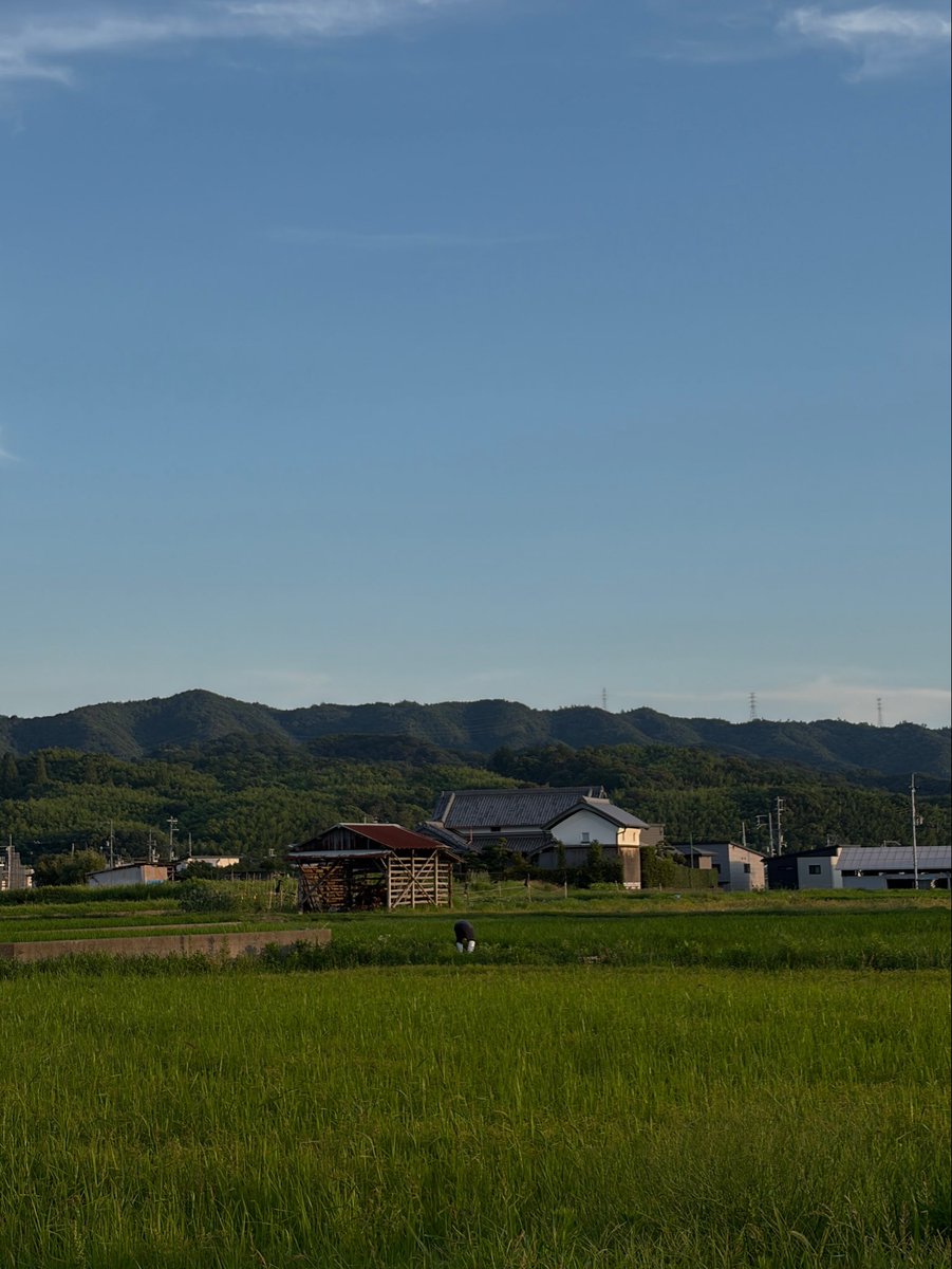 182__nametake's tweet photo. 田舎の良さは夏を感じやすいこと https://t.co/sS4owP55V6