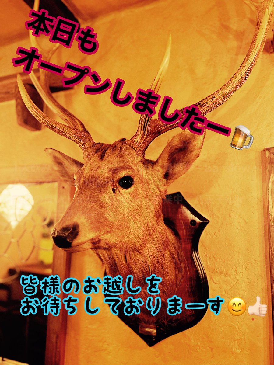 slow802's tweet photo. 本日も開店でーす‼️

休みの方も仕事に勉学がある方も
いらっしゃると思います😅
そんな1日の〆に…
bar.slowで一杯いかがでしょうか⁉️

八王子のbar(バー)で…
1人飲み…
女性の1人飲みも…
安心してくつろげる場所です😊👍🏻
皆様のご来店をお待ちしております‼️

喫煙可能🚬

#八王子バー #バー https://t.co/5NL8a1r9O4