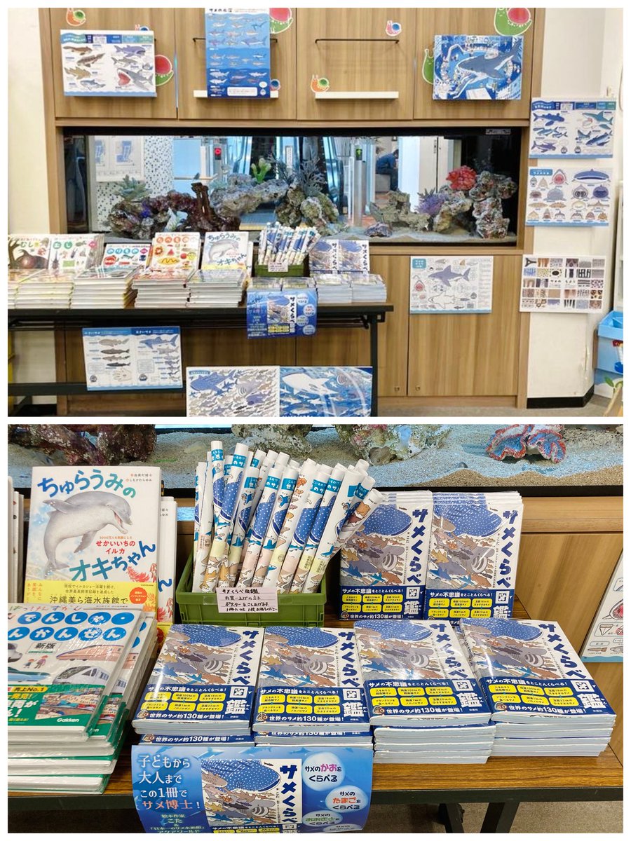 kota_draw's tweet photo. ＼ 水槽の前でパネル展開催中🐠 ／
有隣堂テラスモール湘南店さん(@yurindo_shonan)で、なんと水槽の前で #サメくらべ図鑑 の展開をしていただいてます！水族館気分が味わえます🦈✨

※水槽前での展示は7月いっぱいです。8月からはイベントの為、場所を移動して展示いたします📚 https://t.co/4iwIQWU7At