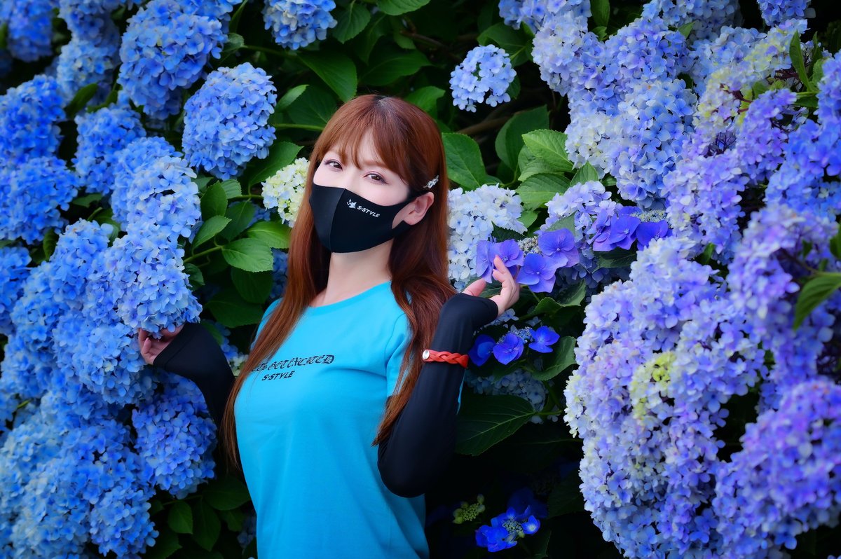 𝐒ちゃん🌸猫Photo Rider (@Kuroneko_S_chan) / Posts / X