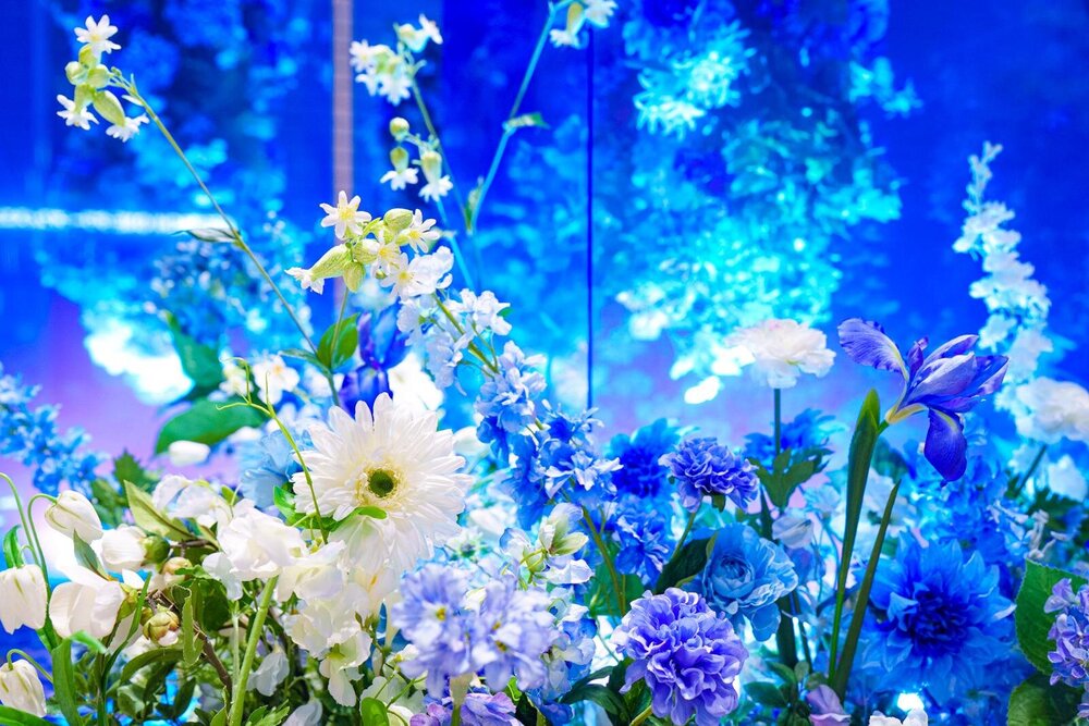fashionpressnet's tweet photo. 「みなも花灯り」“水面に浮かぶ花×ほのかな光”に包まれる大手町の癒しイベント

こだわりのフードやお酒を楽しめるキッチンカーも - https://t.co/gc9XT2O2VC / PR https://t.co/6flhzPEmKt
