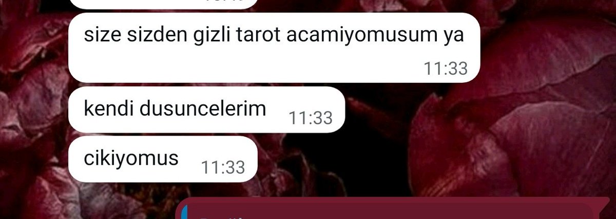 los1isi's tweet photo. Buyucu arkadas
Cok zorsun https://t.co/o2Z6lrMdHN