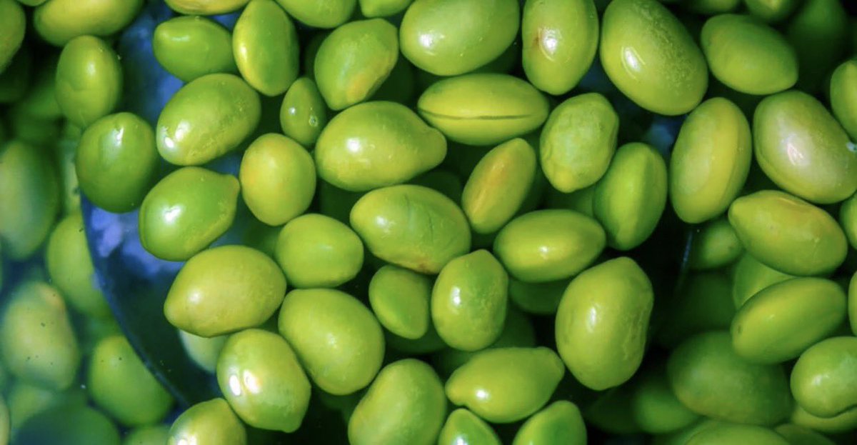 marcelabortoni's tweet photo. YO JAMAS COMO EDAMAMES Y AQUI TE DIGO PORQUE ✨ 

🧪 1. Pesticidas + transgénicos
La soya convencional es de los cultivos más fumigados del mundo (glifosato). Estos residuos alteran tu microbiota, generan inflamación y sobrecargan hígado e hígado inmune. 🌱 Orgánico = menor riesgo, no cero.

⚖️ 2. Fitoestrógenos que desequilibran hormonas
Sus isoflavonas imitan el estrógeno. Si tienes tiroides, endometriosis, fibromas o desbalance hormonal, pueden empeorar hinchazón, cambios de ánimo y retención de líquidos. 🦋

🌿 3. Antinutrientes = digestión difícil
Lectinas y ácido fítico bloquean la absorción de hierro, zinc, calcio y magnesio, e irritan el intestino. 

Bonus práctico: Si te gustan las legumbres, mejores opciones son lentejas, garbanzos o frijoles bien preparados (remojados y fermentados). Si buscas proteína vegetal fácil, considera semillas de calabaza, almendras o proteína de chícharo orgánica.