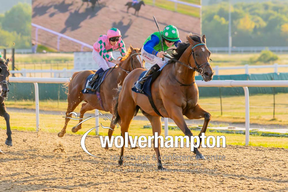 Wolverhampton Races tweet media