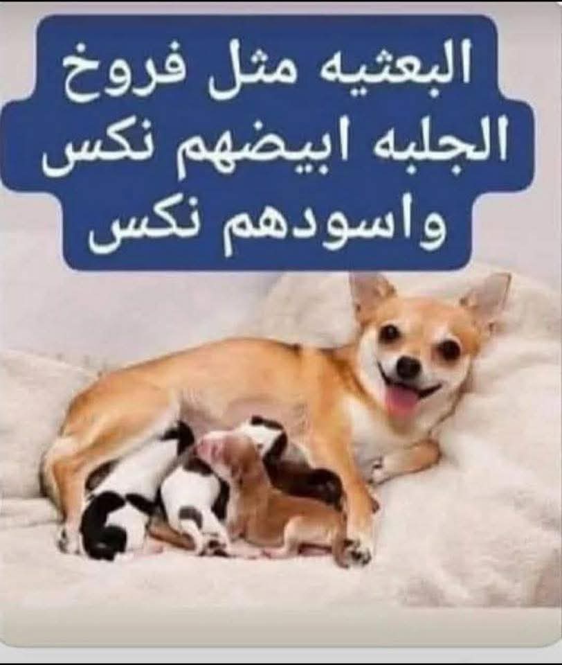 DQuo8z's tweet photo. @ahmed64192856 https://t.co/CQ3OdLeMNZ