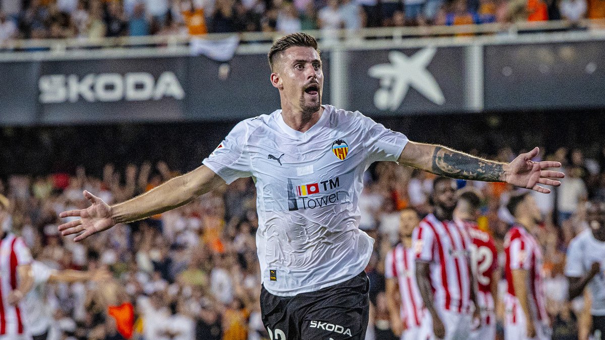 🦇 Ratolí Volador 3.0 🦇 tweet media