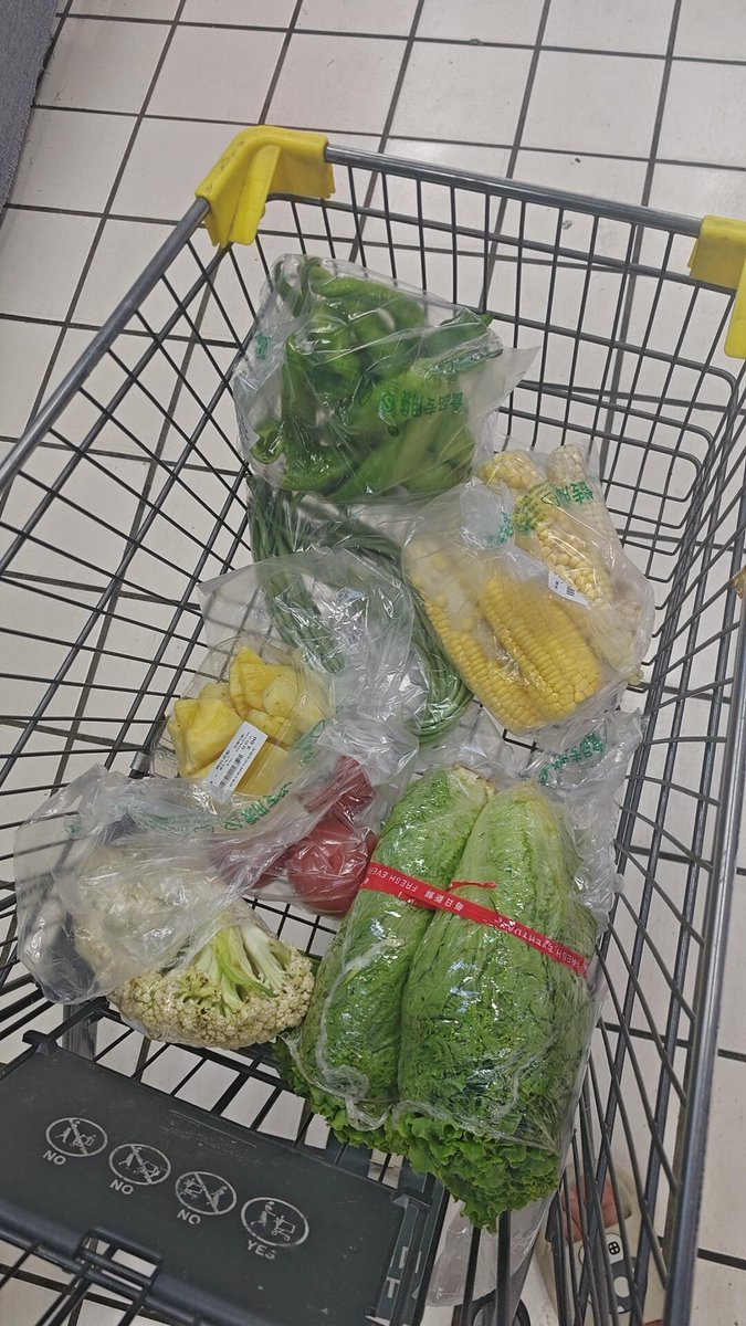 AlfredoB88's tweet photo. 野菜を買うのは生活との優しい出会いです https://t.co/NWzFhzpO9h