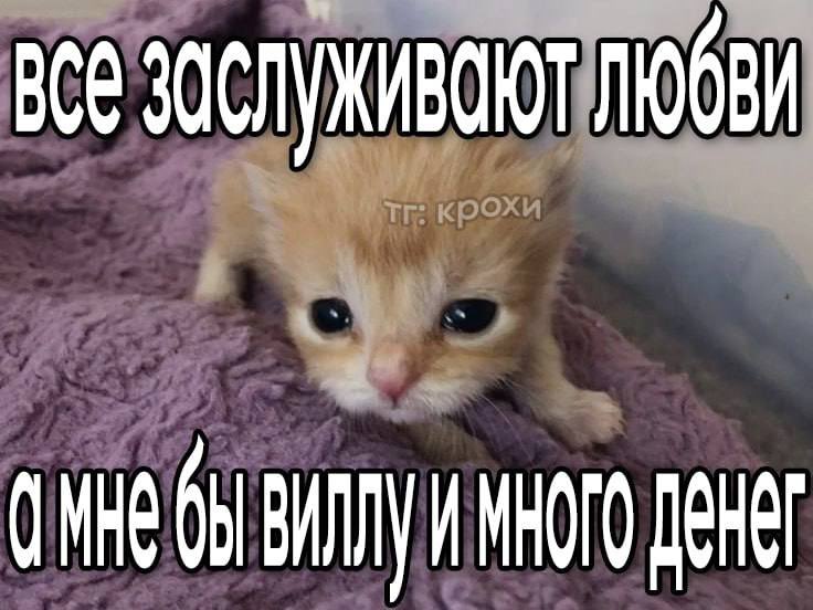 crazy_sukharik's tweet photo. 💰💰💰🛐 https://t.co/PEtkaRY3GF