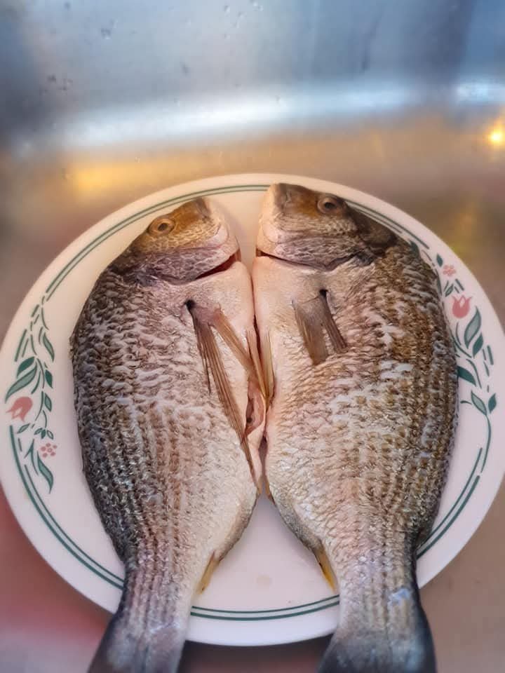 JoeTirtoDiputro's tweet photo. Omega3 junkie
Picture trakir hasil mancing yg lain beli
.
Btw GA total 500k winnernya bisa 2.3.4.5 atau bahkan cmn 1 orang.
Sdikit berbagi untuk kebutuhan pokok/ pendidikan/ksehatan/beribadah/apaja
Silahhkn Flw Rp Lk, end Saturday.

Good luck everyone https://t.co/zjgzXYFQsI